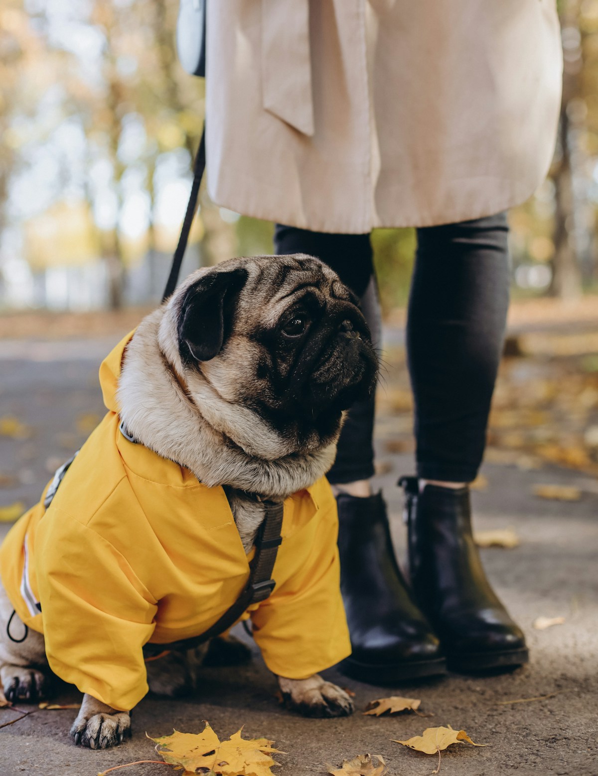 Raincoats