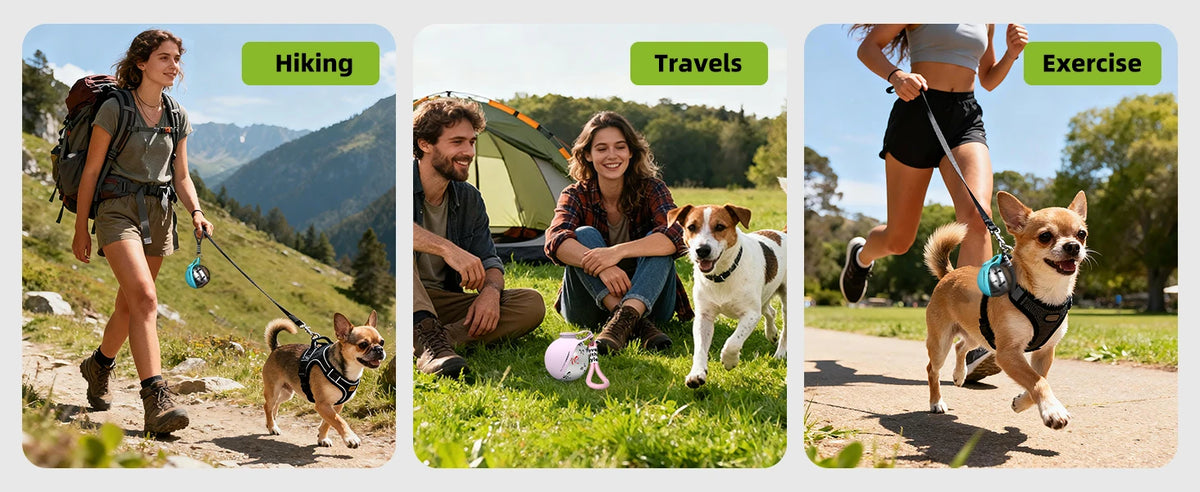 2-in-1 Stainless Water Bottle