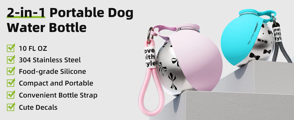 2-in-1 Stainless Water Bottle