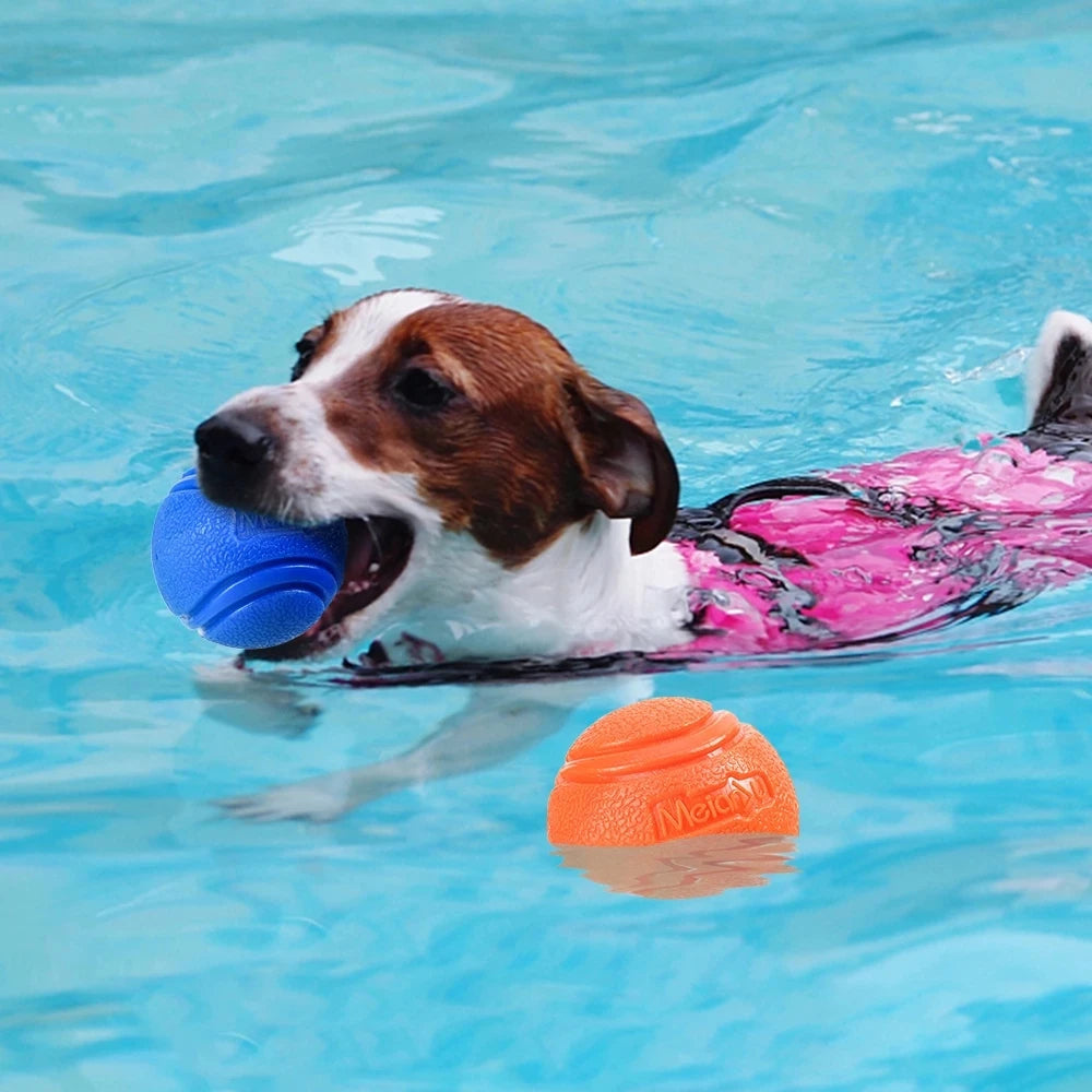 Bouncy Solid Rubber Fetch Ball