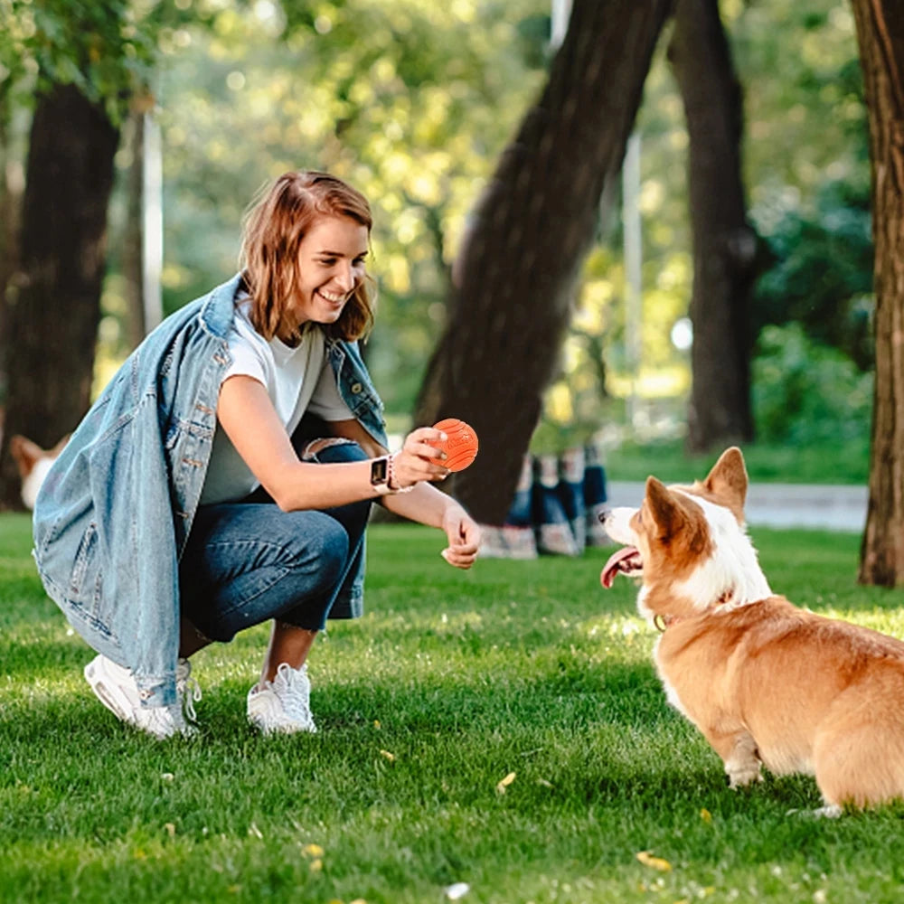Bouncy Solid Rubber Fetch Ball
