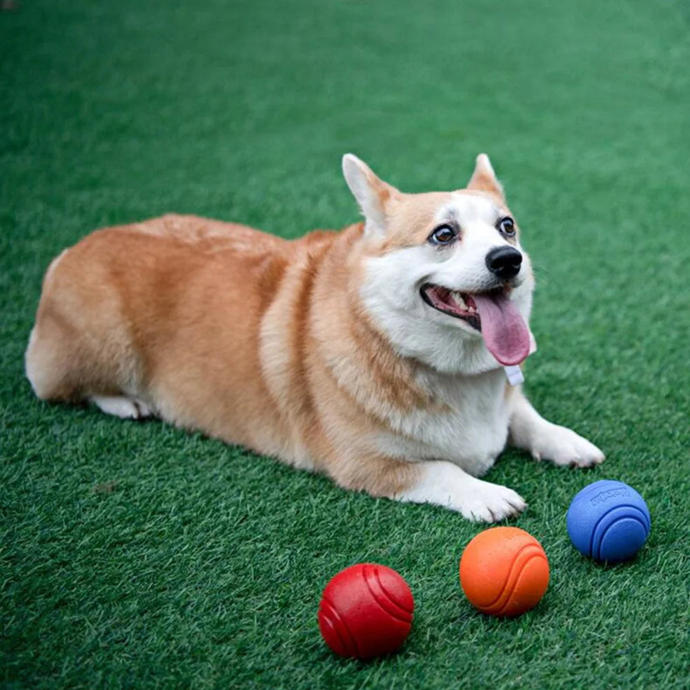 Bouncy Solid Rubber Fetch Ball