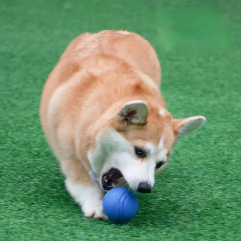 Bouncy Solid Rubber Fetch Ball
