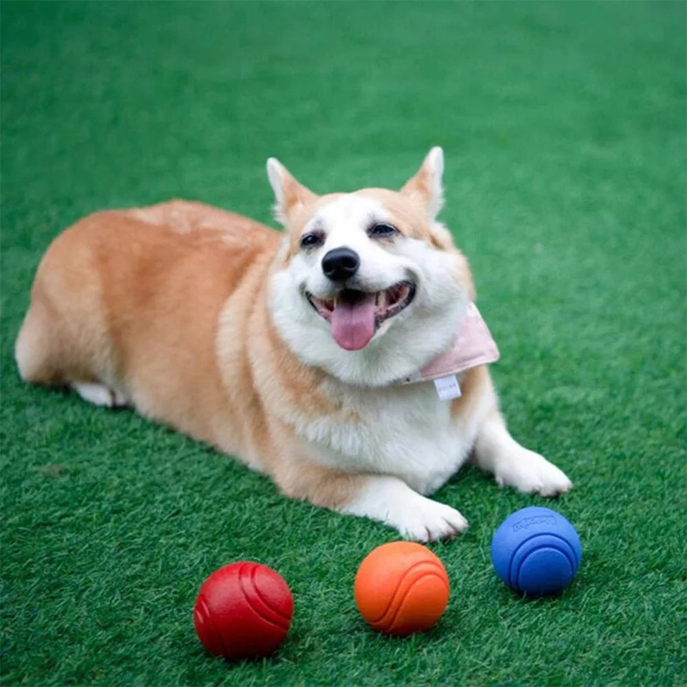 Bouncy Solid Rubber Fetch Ball