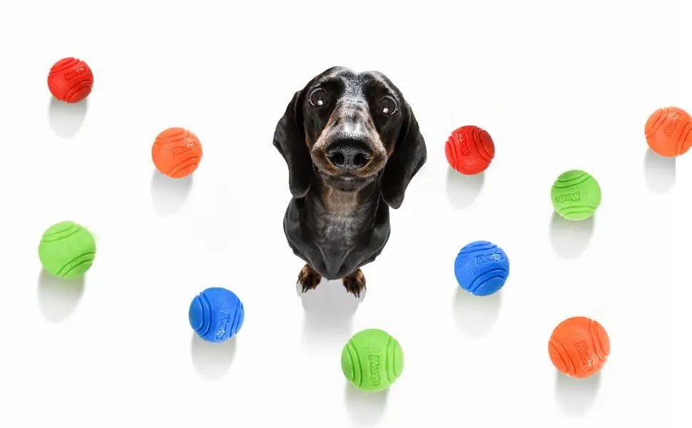 Bouncy Solid Rubber Fetch Ball
