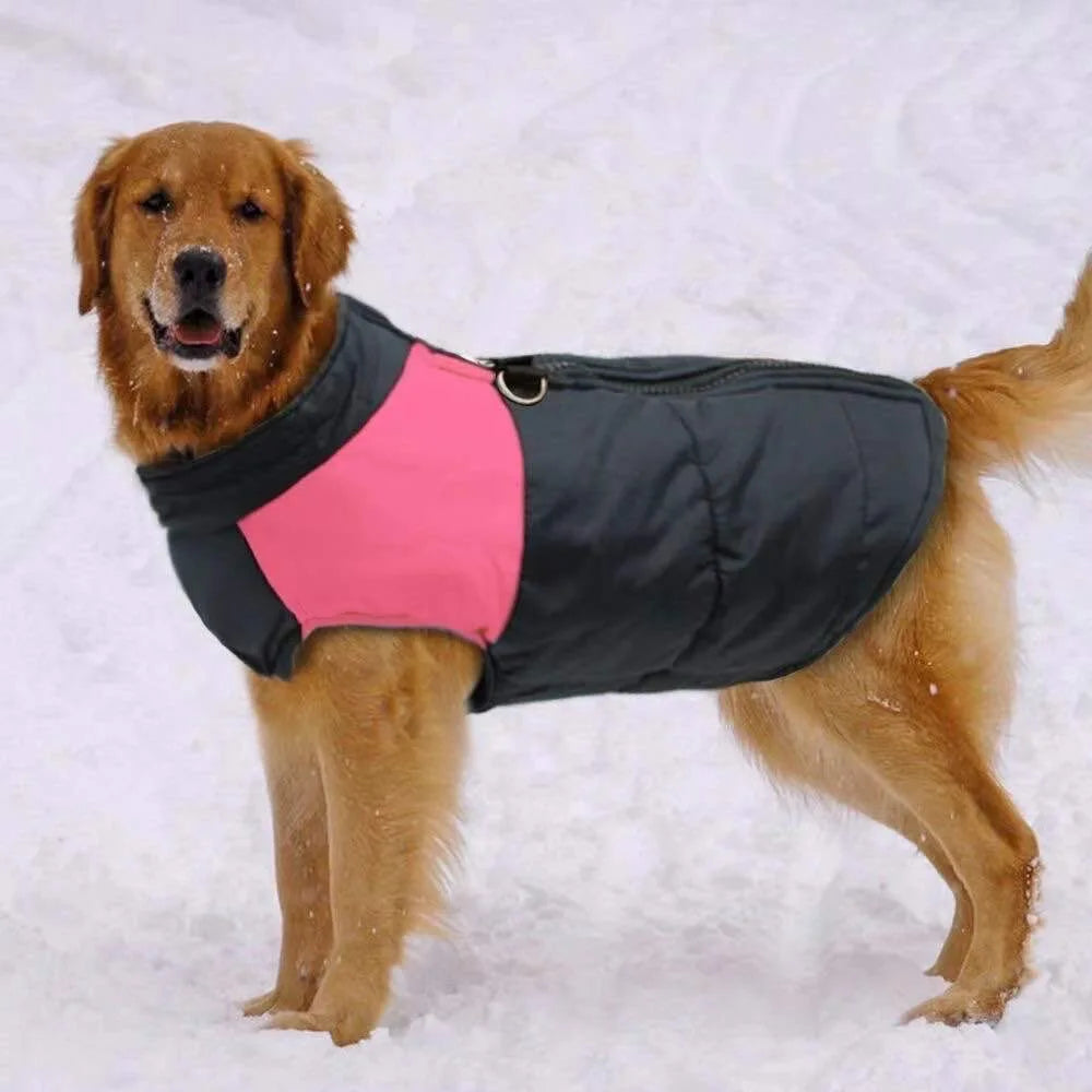 Padded Winter Vest for Large Dogs