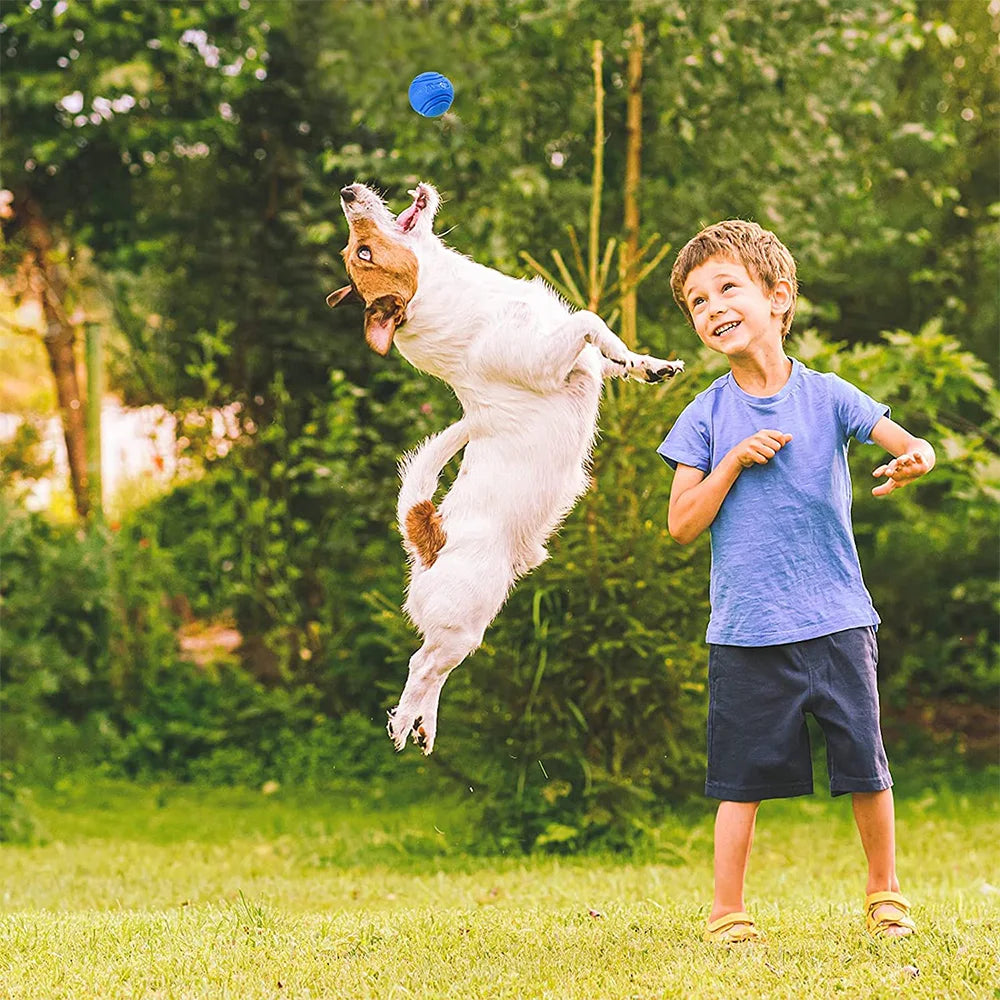 Bouncy Solid Rubber Fetch Ball