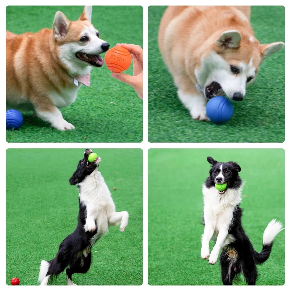 Bouncy Solid Rubber Fetch Ball