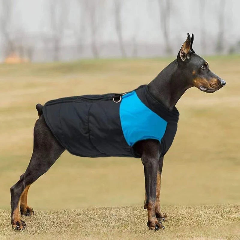 Padded Winter Vest for Large Dogs