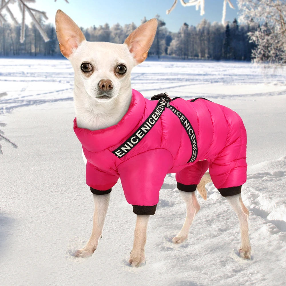 Thermal Waterproof Dog Jumpsuit