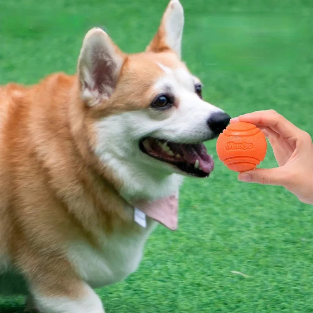 Bouncy Solid Rubber Fetch Ball