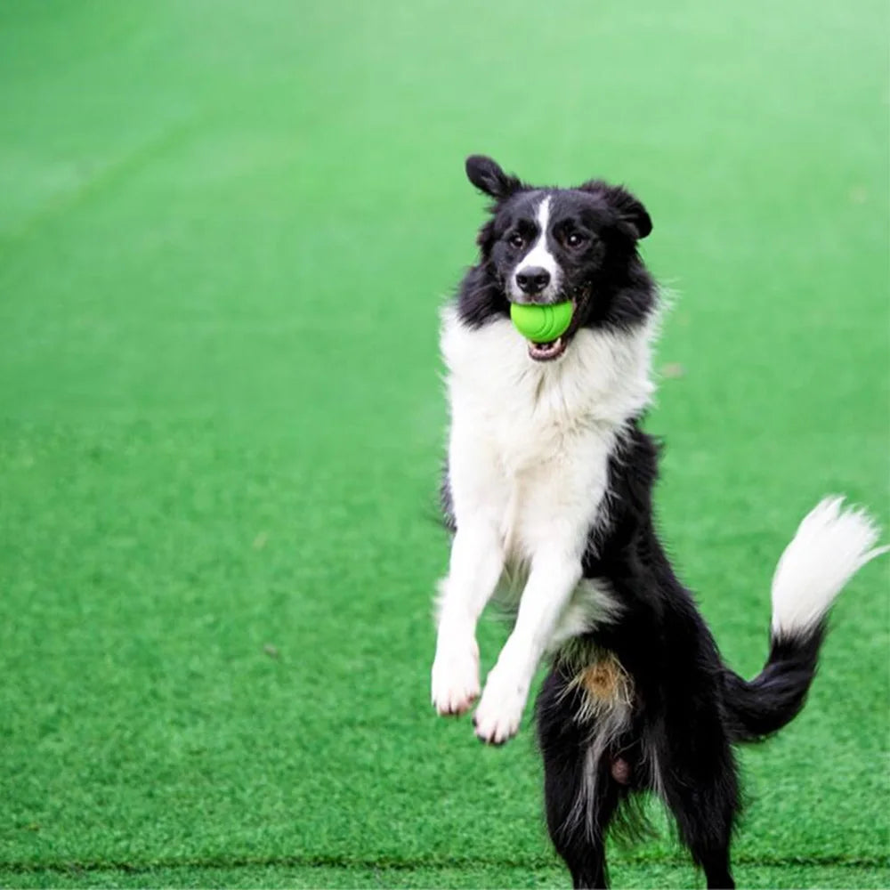 Bouncy Solid Rubber Fetch Ball