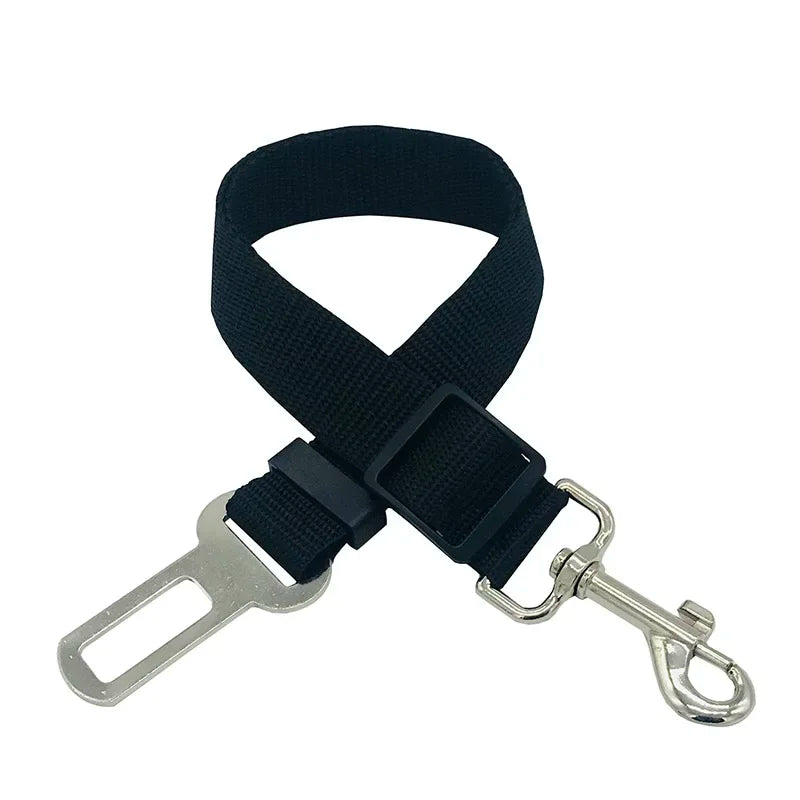 Car Seat Belt Lead with Clip