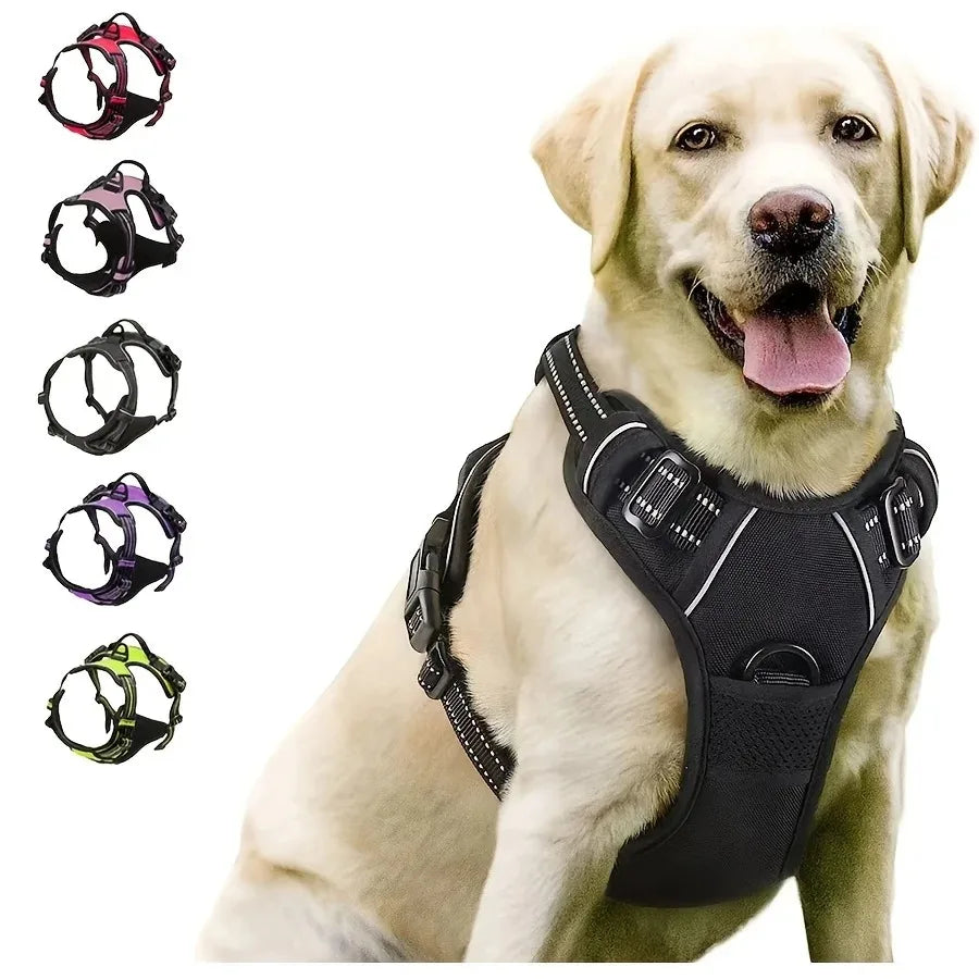 Leather-Look Collar, Harness & Lead Set