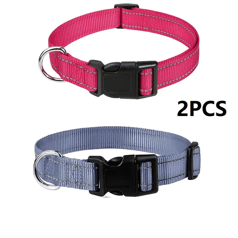 Decorative Small Dog Collar