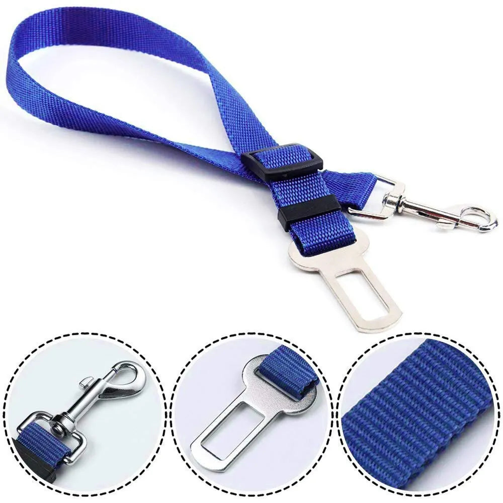 Car Seat Belt Lead with Clip