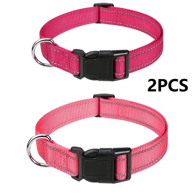 Decorative Small Dog Collar