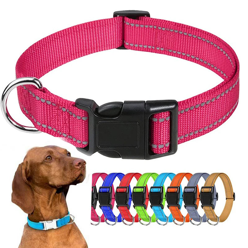 Decorative Small Dog Collar