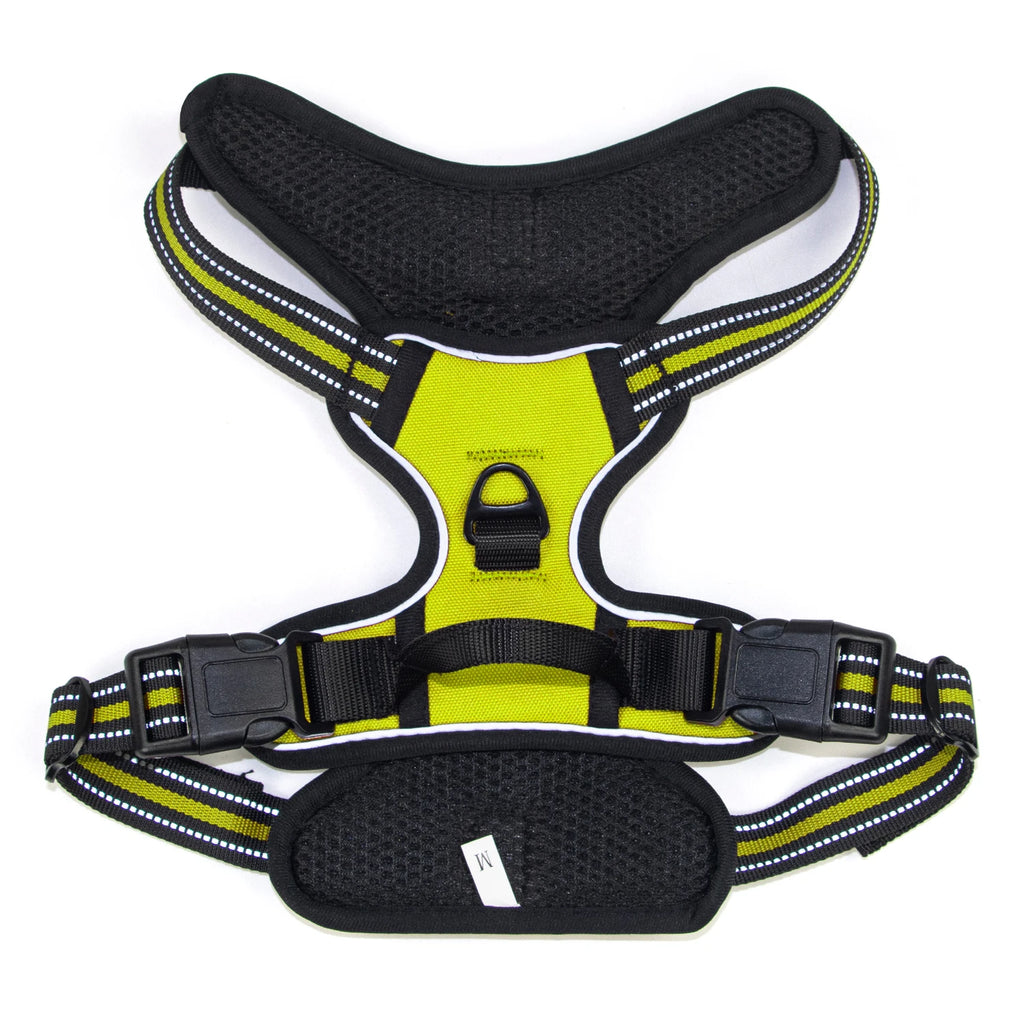 Adjustable Harness with Handle