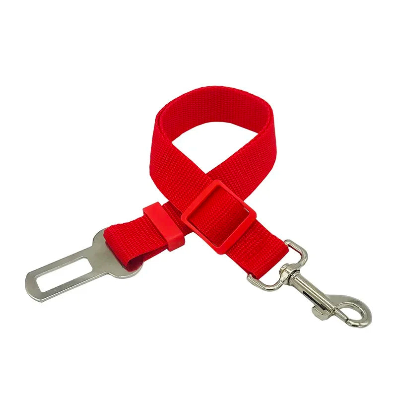 Car Seat Belt Lead with Clip