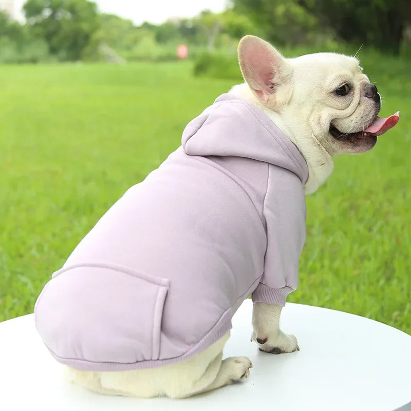 Hooded Sweatshirt for Cats