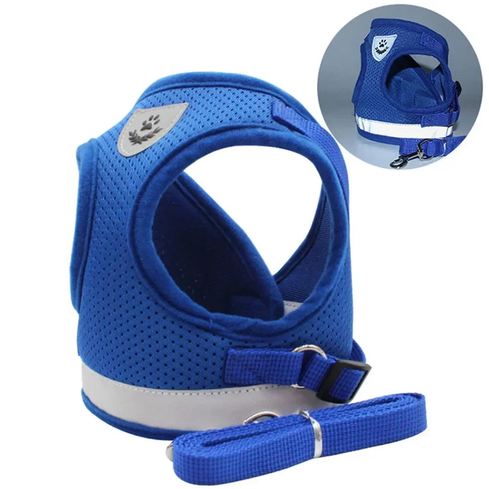 Cat Mesh Harness & Lead Set