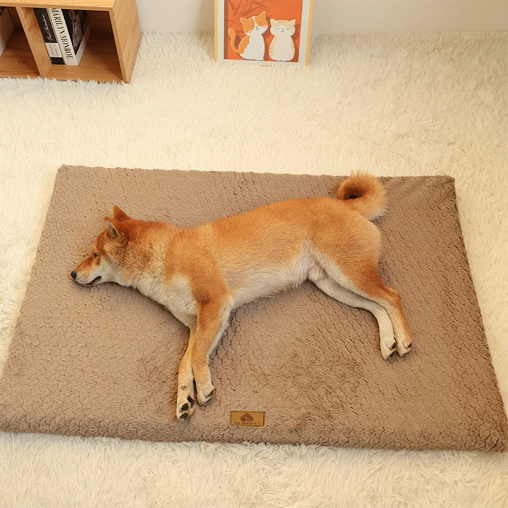 Memory Sponge Crate Bed