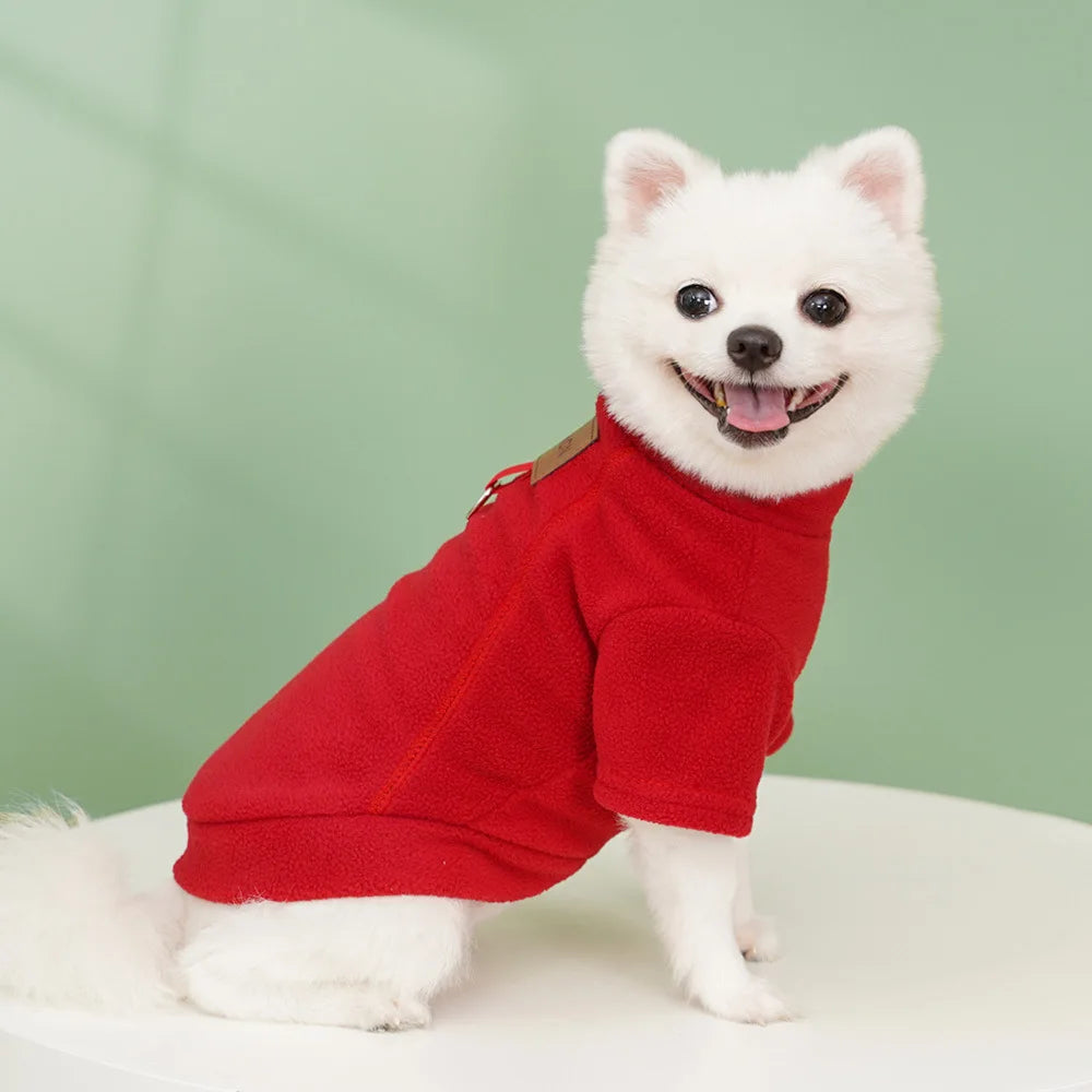 Classic Solid Hoodie
