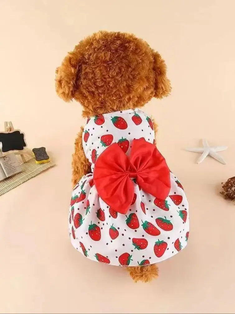 Bow & Lace Summer Dress
