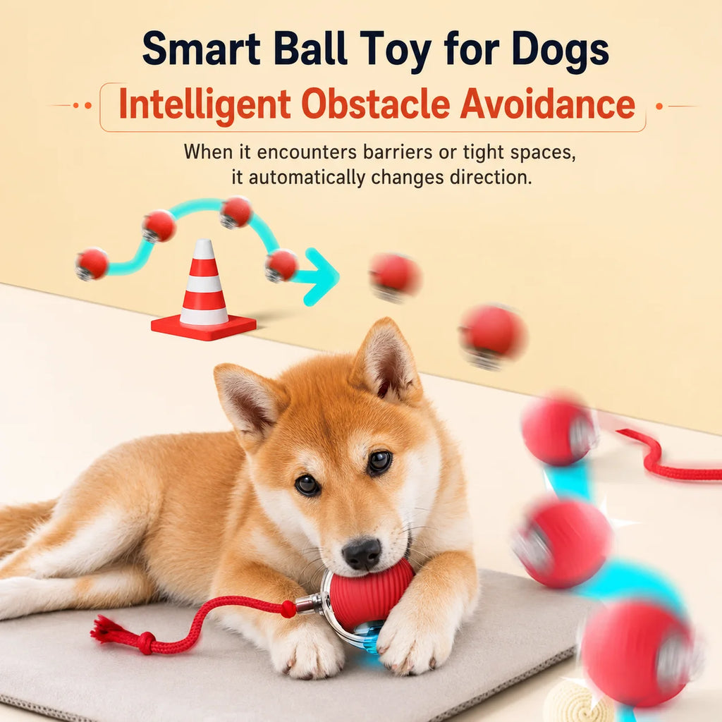 Self-Rolling Smart Ball (USB)
