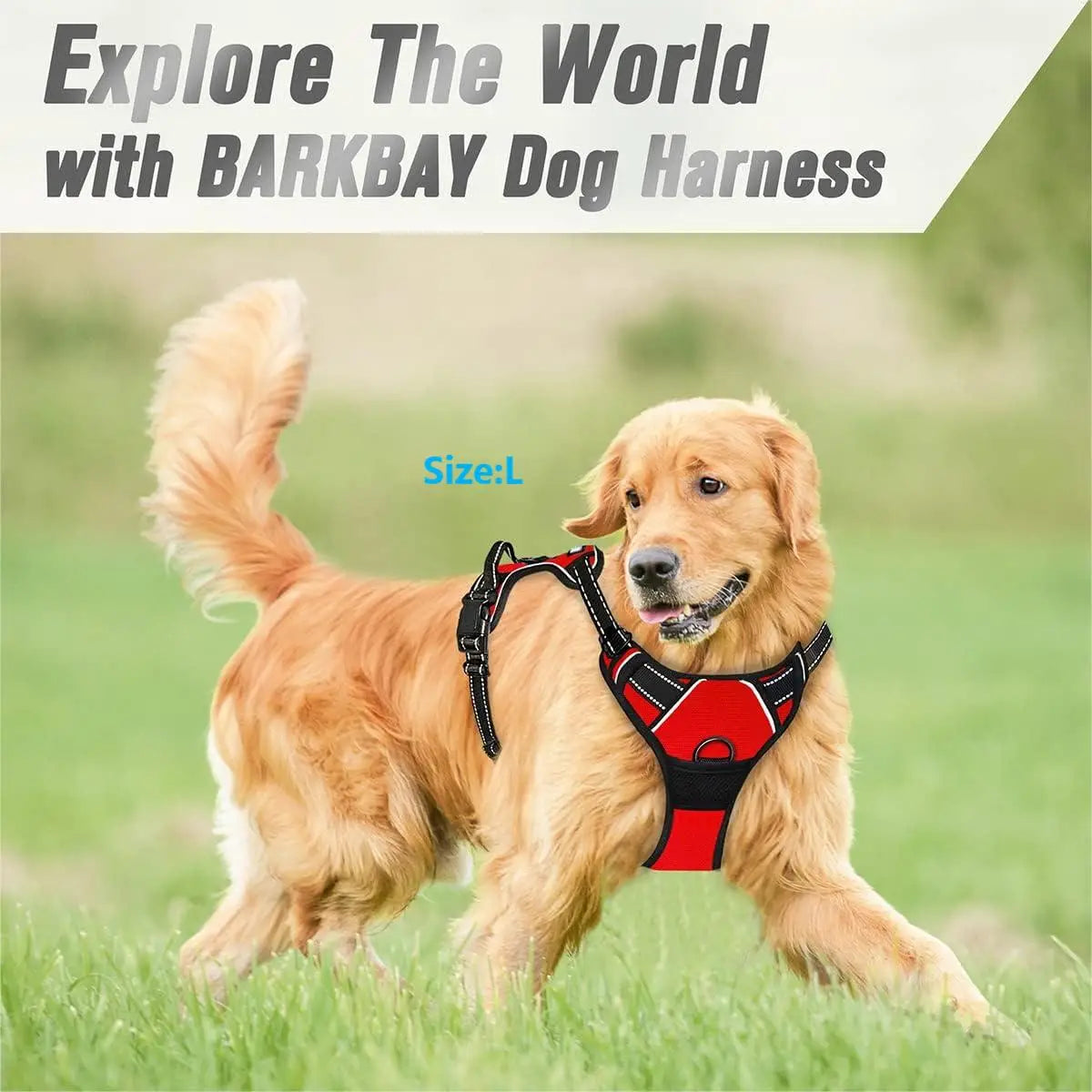 Front-Clip Reflective Harness