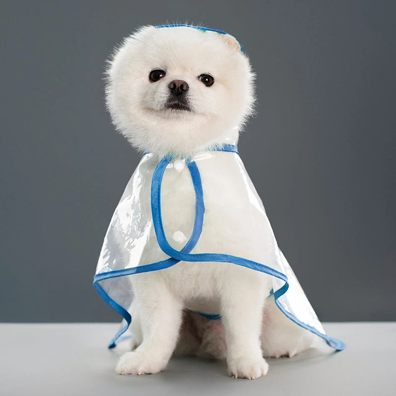 Clear Hooded Raincoat
