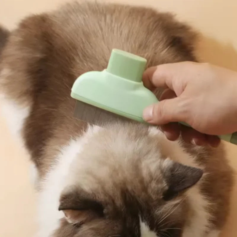 One-Button Self-Cleaning Comb