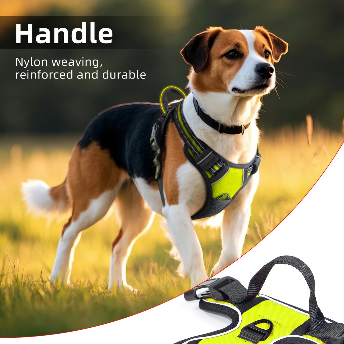 Adjustable Harness with Handle