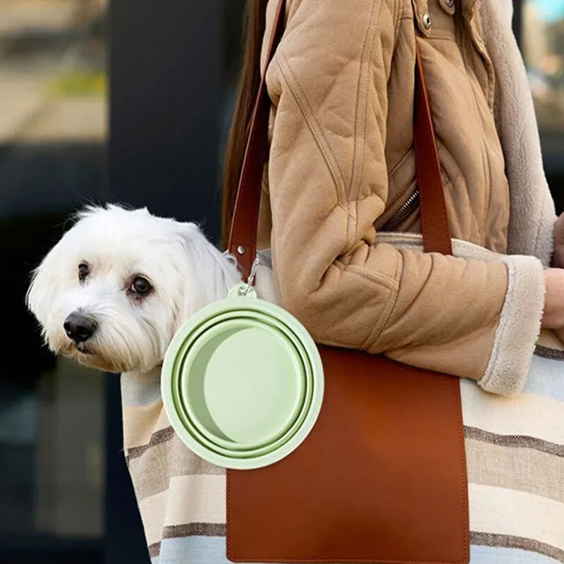 Pocket Collapsible Water Bowl (350ml)