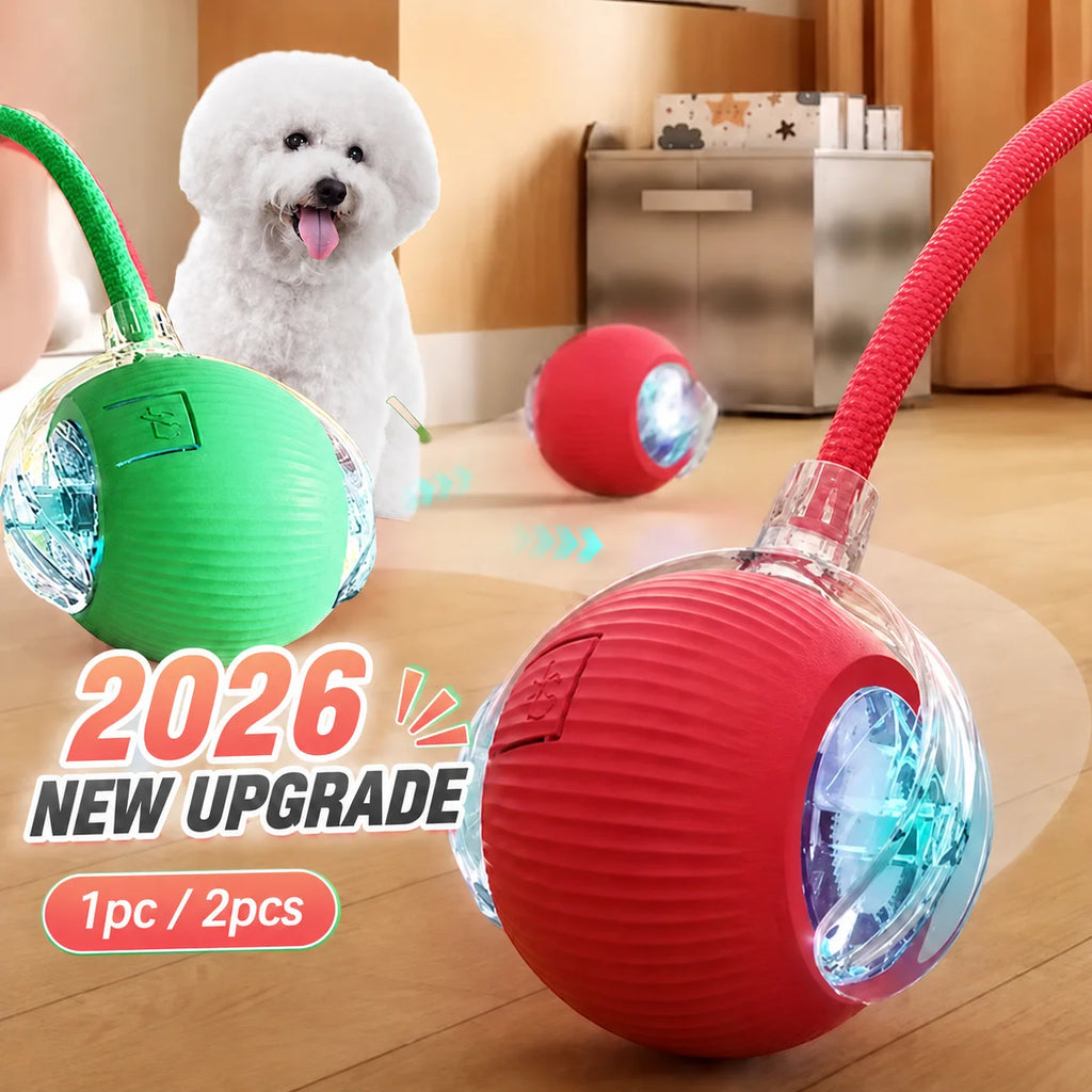 Self-Rolling Smart Ball (USB)