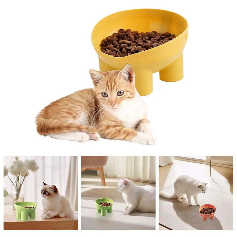 Tilted Raised Cat Bowl