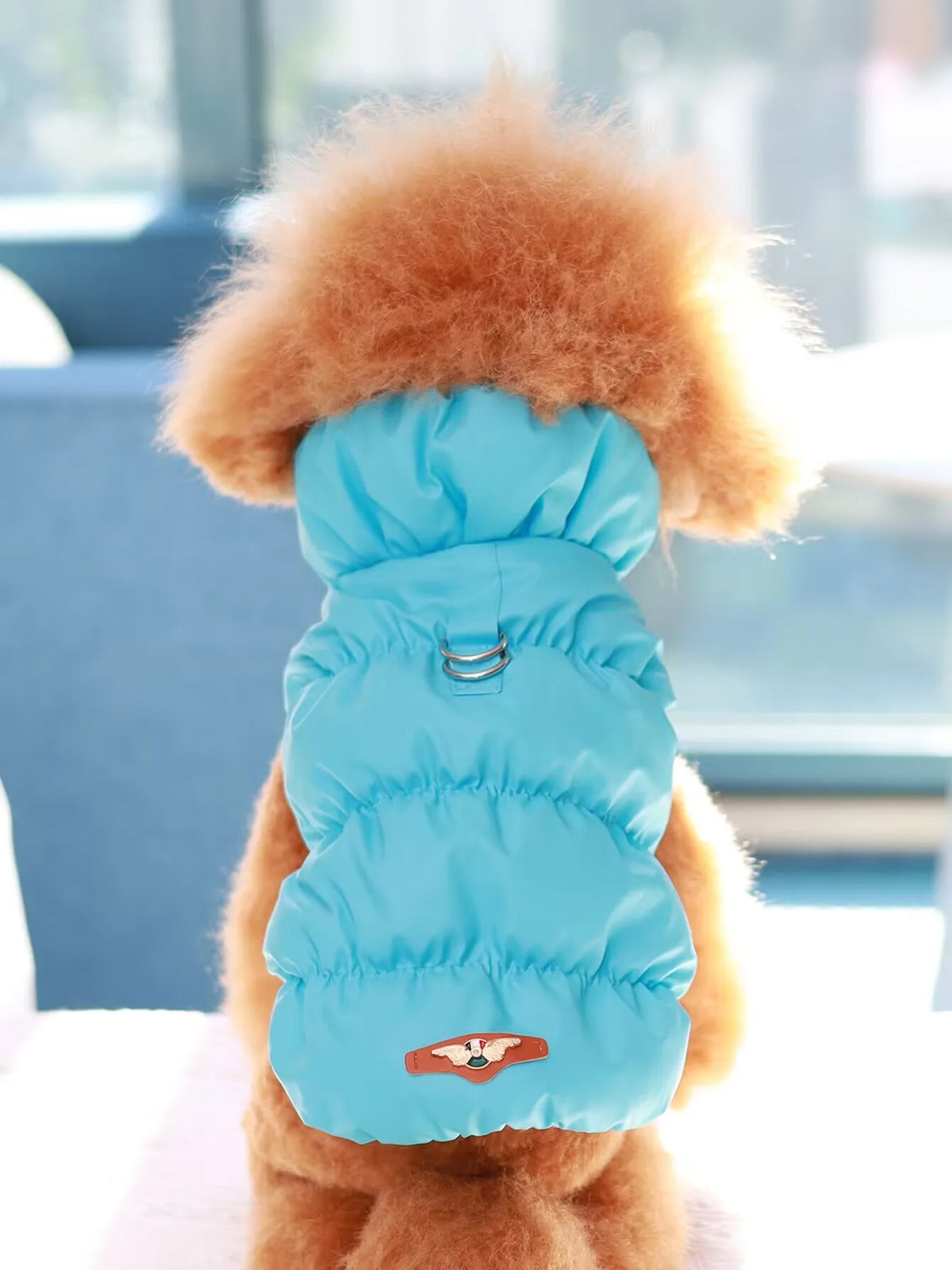 Three-Layer Winter Jacket