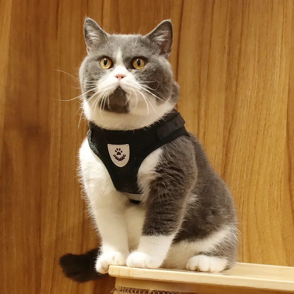 Cat Mesh Harness & Lead Set
