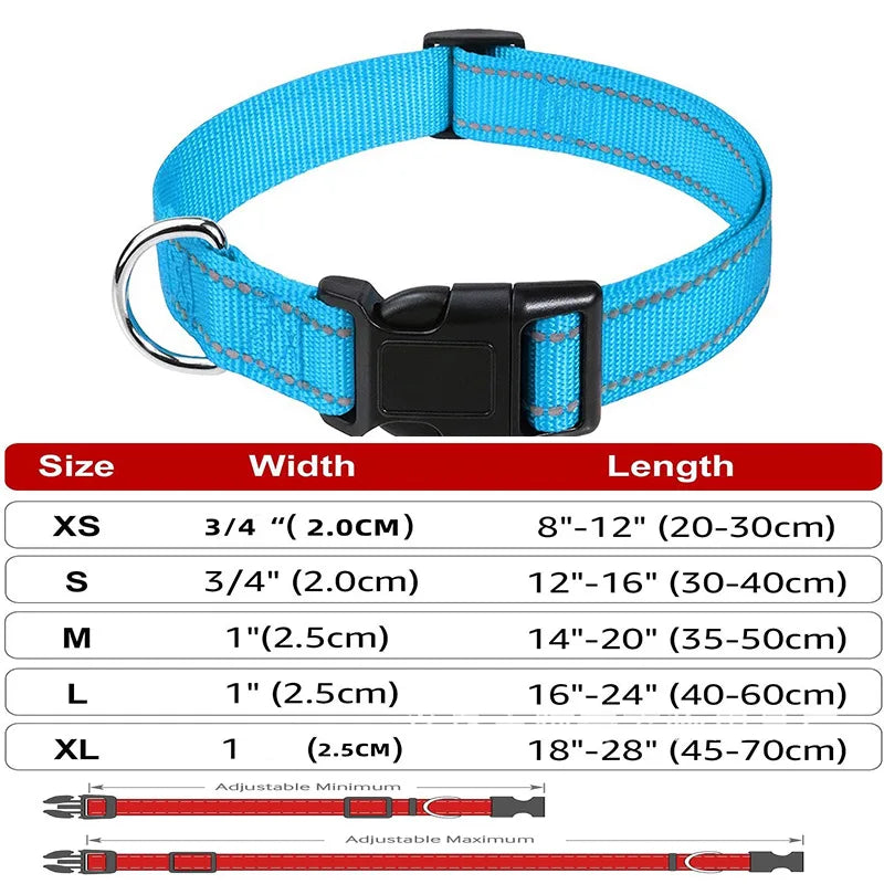 Decorative Small Dog Collar
