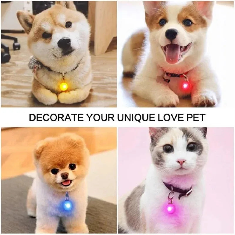 LED Glow Pendant Collar