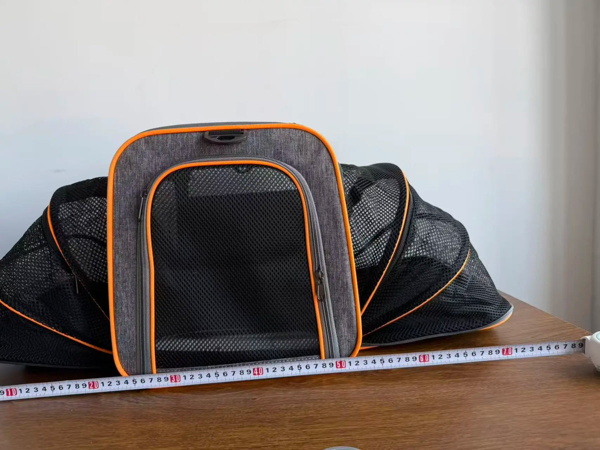 Expandable Mesh Carrier Bag