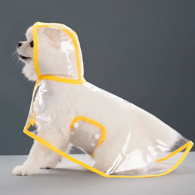 Clear Hooded Raincoat