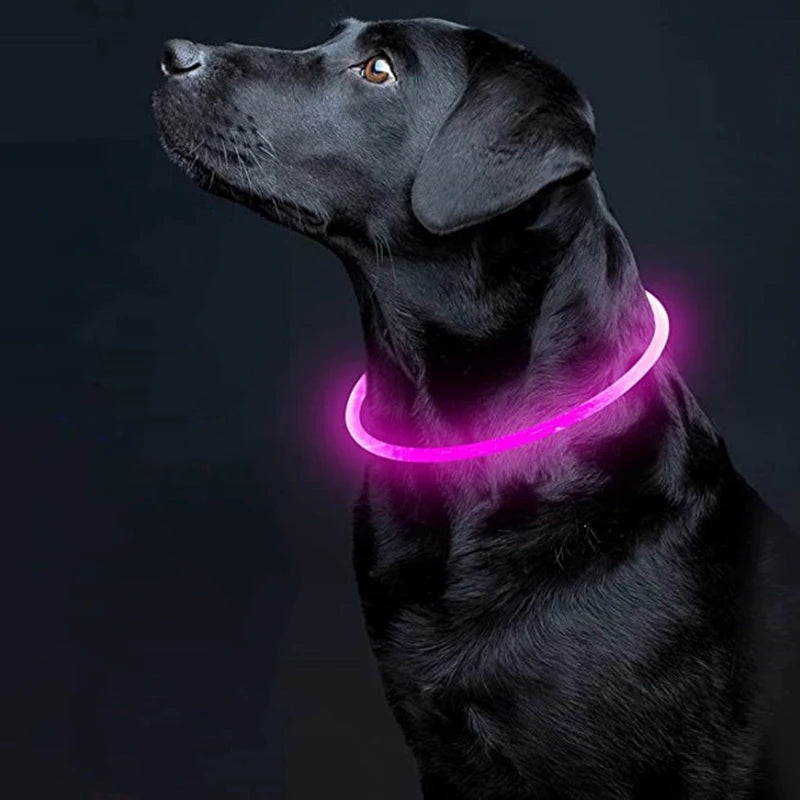 USB Rechargeable LED Collar