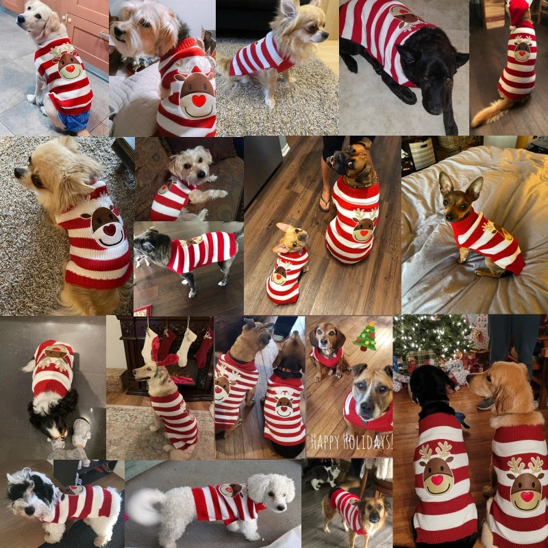 Christmas Knit Jumper