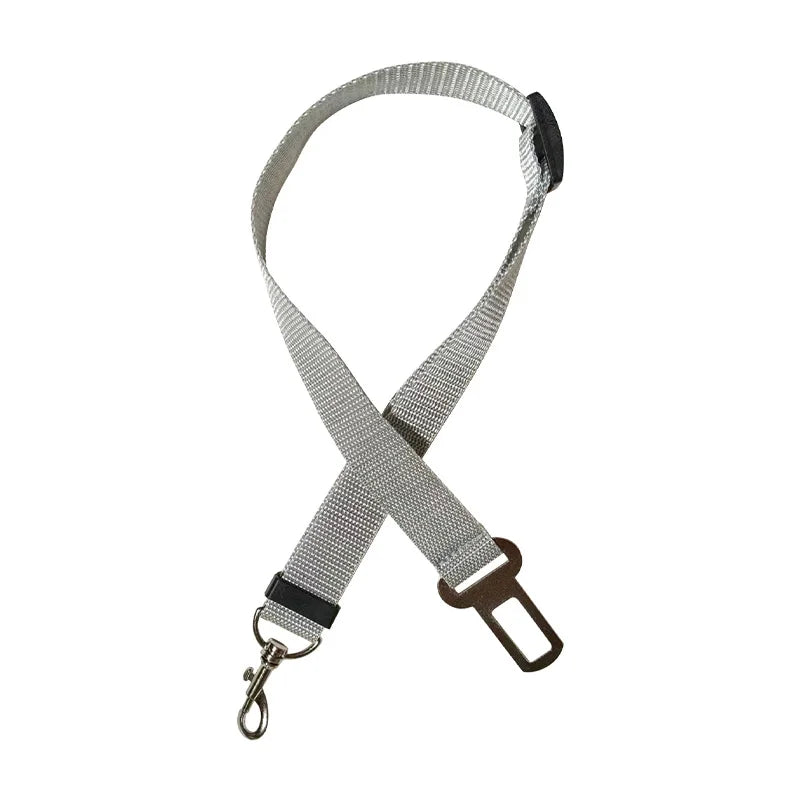 Car Seat Belt Lead with Clip