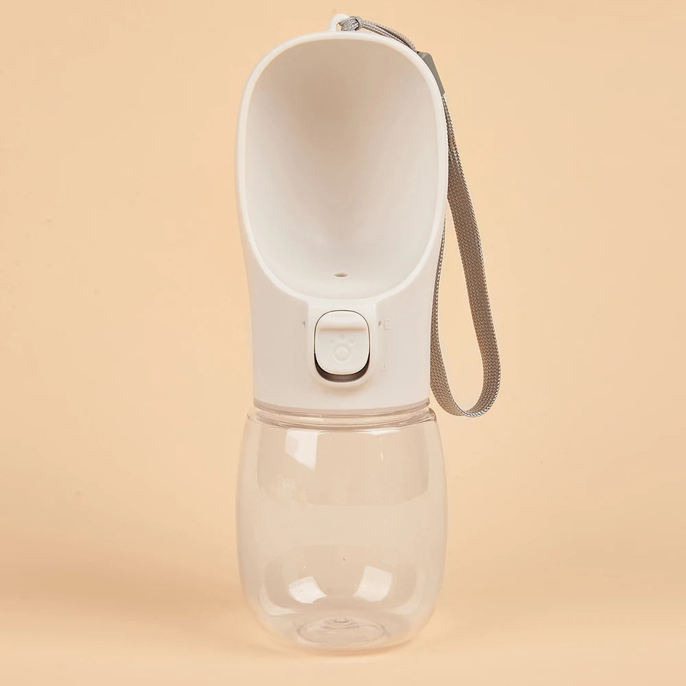 Leak-Proof Travel Water Bottle