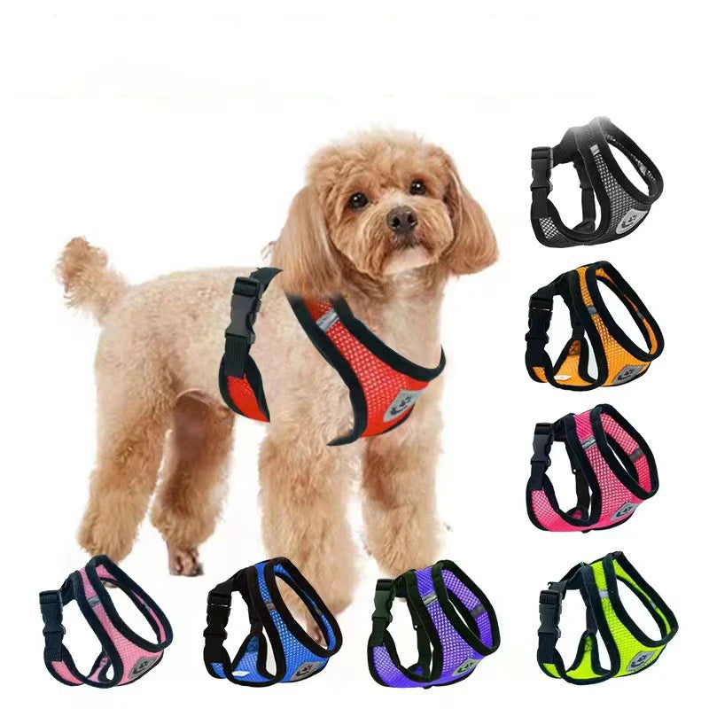 Summer Mesh Harness & Lead