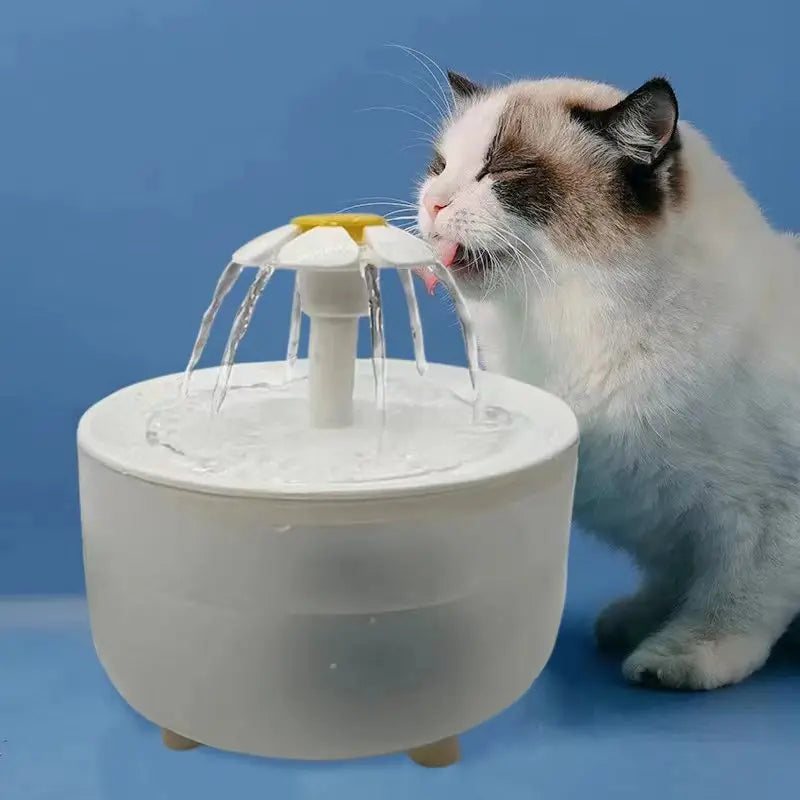 Recirculating Filter Fountain (1.2L)