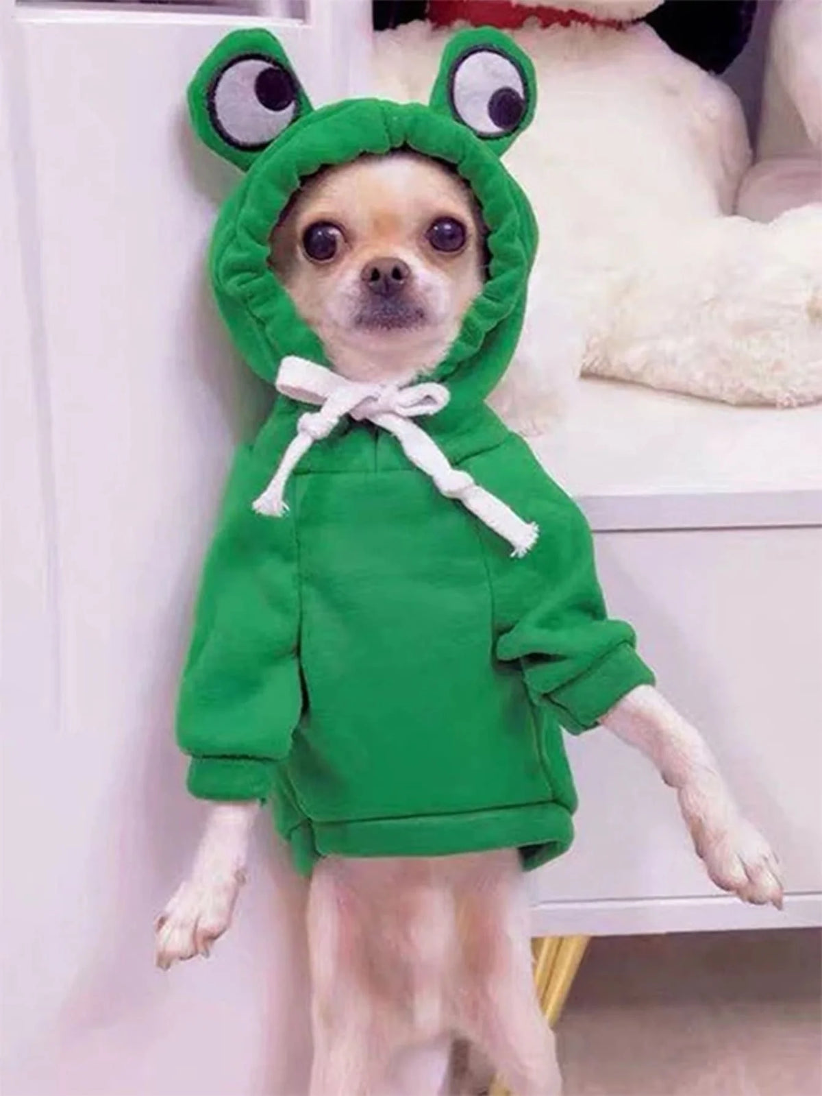 Frog Hoodie for Dogs